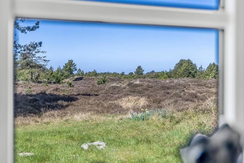 Foto von Ferienhaus AU62 in Kongsmark - Rømø