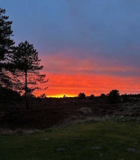 Foto von Ferienhaus AU62 in Kongsmark - Rømø