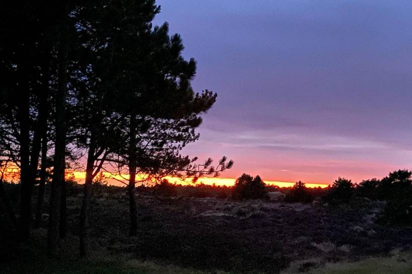 Foto von Ferienhaus AU62 in Kongsmark - Rømø