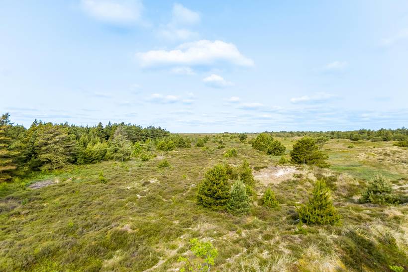 Foto von Ferienhaus AU62 in Kongsmark - Rømø