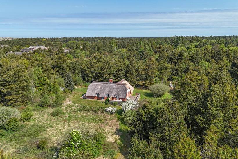 Foto von Ferienhaus AU77 in Vester Husby - Westjütland