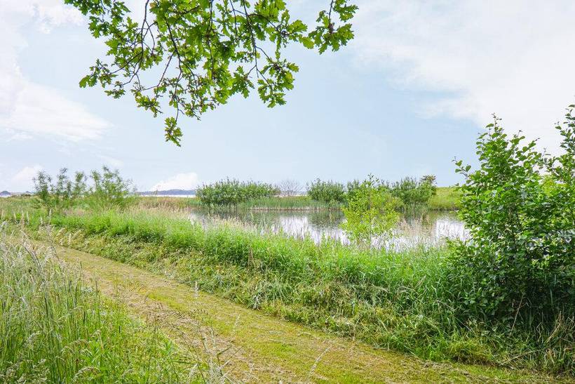 Foto von Ferienhaus AV06 in Knebel - Mols - Ostjütland