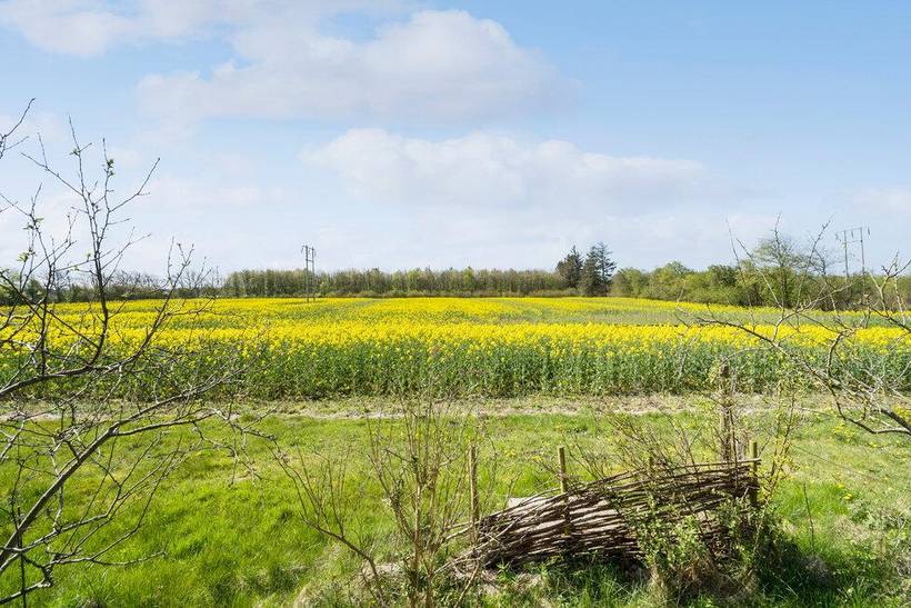 Foto von Ferienhaus AV23 in No - Westjütland