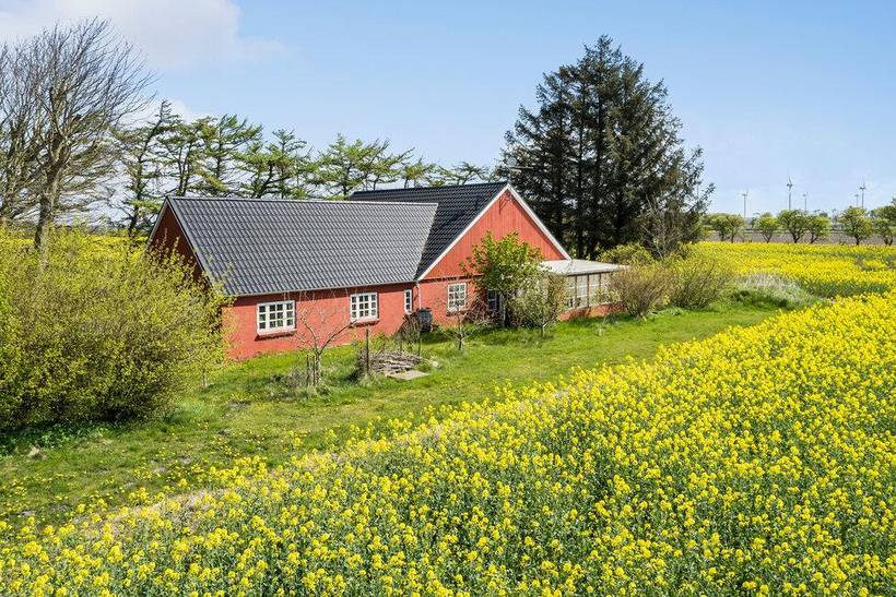 Foto von Ferienhaus AV23 in No - Westjütland