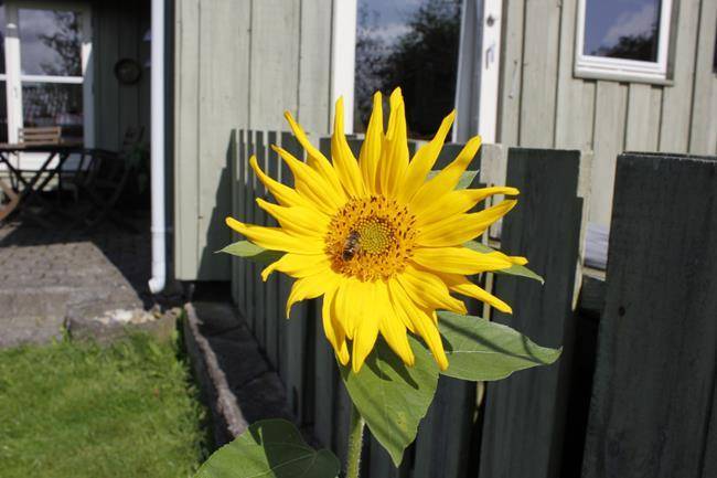 Foto von Ferienhaus AV64 in Kollerup - Nordjütland