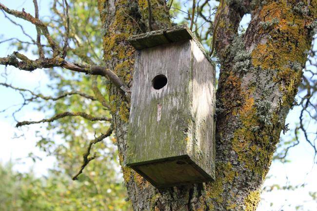 Foto von Ferienhaus AV64 in Kollerup - Nordjütland