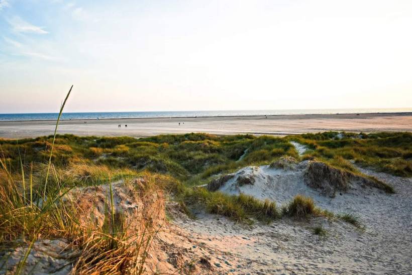 Foto von Ferienhaus AV68 in Fanø Bad - Fanø
