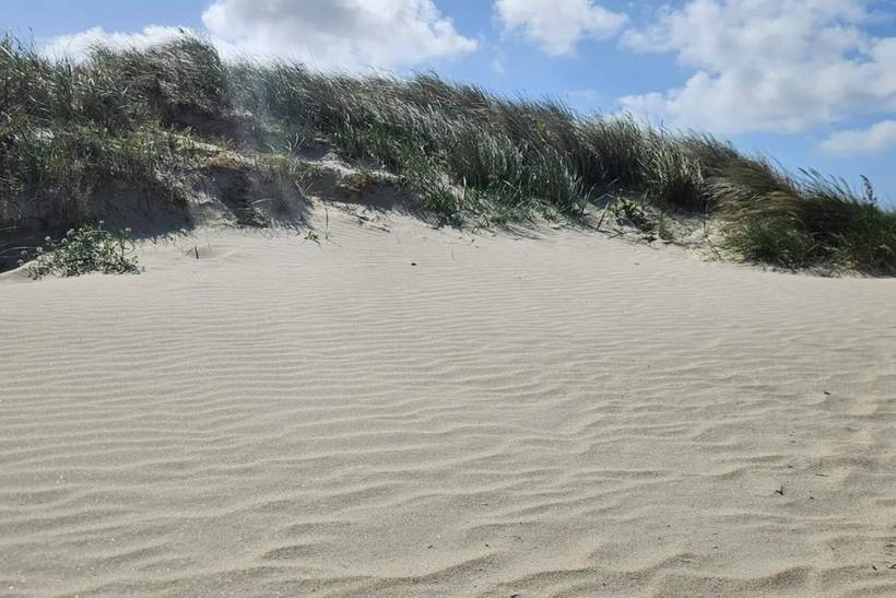 Foto von Ferienhaus AV68 in Fanø Bad - Fanø