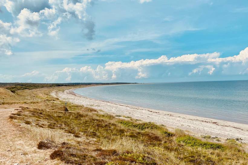 Foto von Ferienhaus AV96 in Vesterø - Læsø