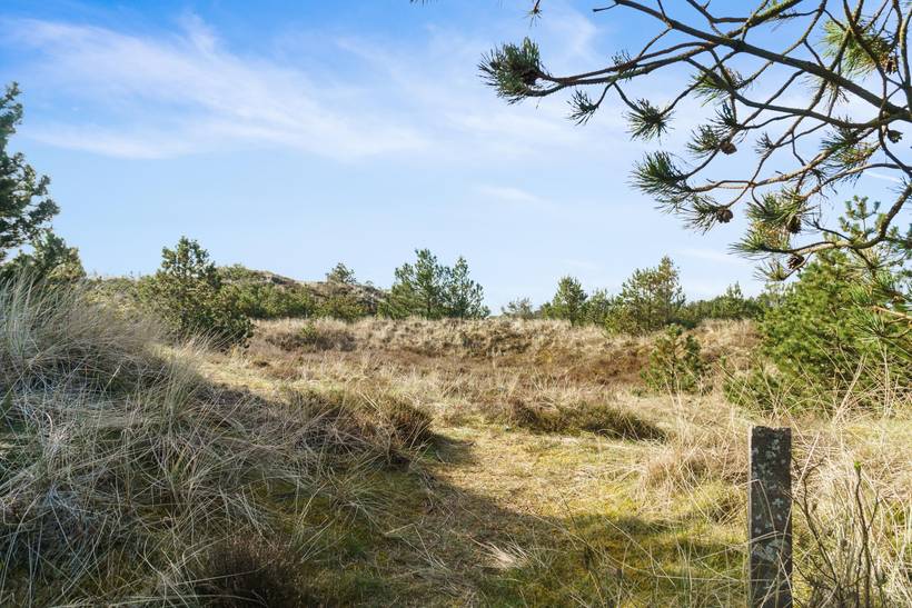 Foto von Ferienhaus AW84 in Vorupør - Thy/Limfjord