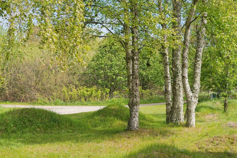 Foto von Ferienhaus AW98 in Bunken - Ålbæk - Nordjütland Ost