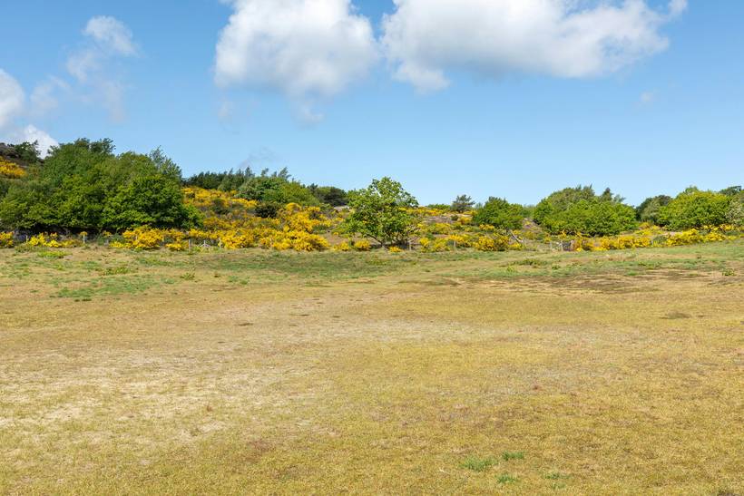 Foto von Ferienhaus AX43 in Sandvig - Bornholm