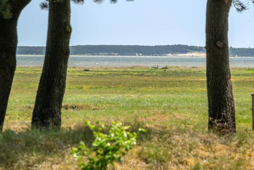 Foto von Ferienhaus AZ27 in Ho - Blåvand - Westjütland