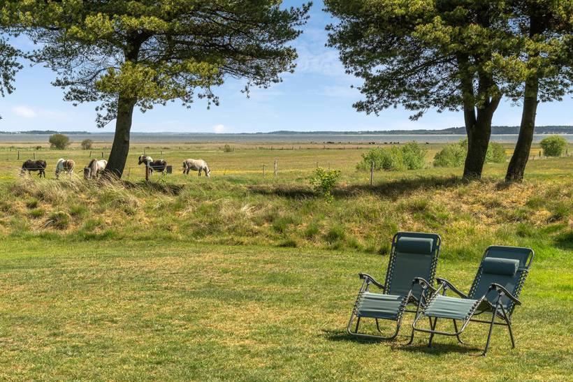 Foto von Ferienhaus AZ27 in Ho - Blåvand - Westjütland