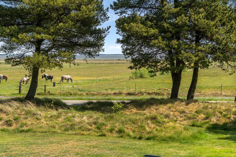 Foto von Ferienhaus AZ27 in Ho - Blåvand - Westjütland