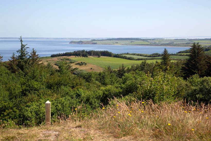 Foto von Ferienhaus AZ34 auf Mors - Thy/Limfjord