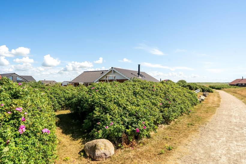 Foto von Ferienhaus AZ48 in Vejlby Klit - Westjütland