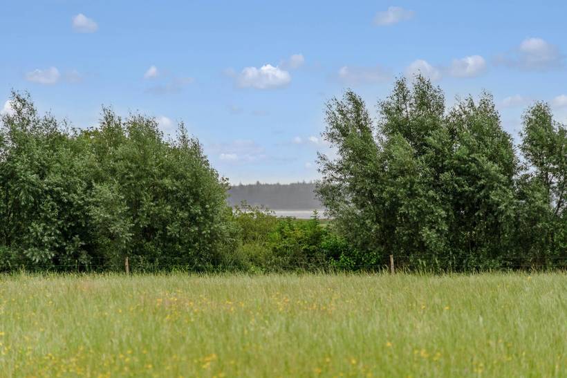 Foto von Ferienhaus AZ72 in Mosevrå - Blåvand - Westjütland