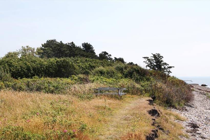 Foto von Ferienhaus AZ89 in Sjællands Odde - Westseeland