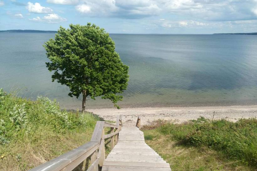 Foto von Ferienhaus BA42 in Hvidbjerg - Ostjütland