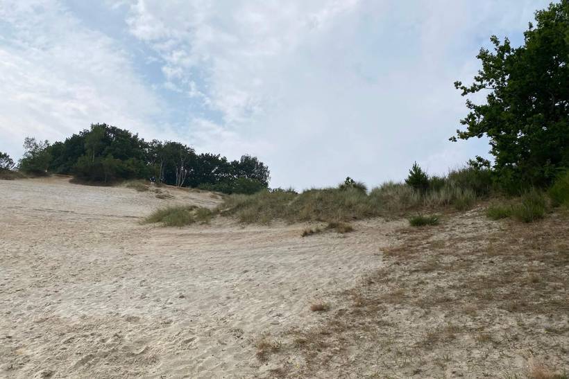 Foto von Ferienhaus BA42 in Hvidbjerg - Ostjütland