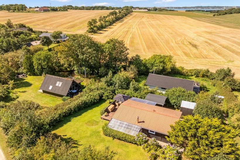 Foto von Ferienhaus BA46 in Selde - Thy/Limfjord