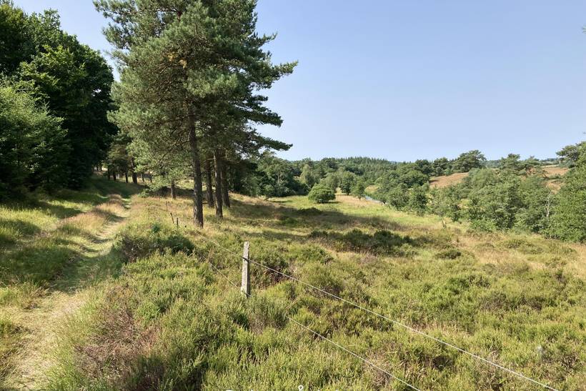 Foto von Ferienhaus BB37 in Bryrup - Ostjütland