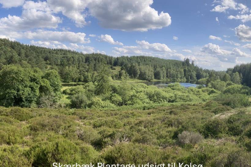 Foto von Ferienhaus BB37 in Bryrup - Ostjütland