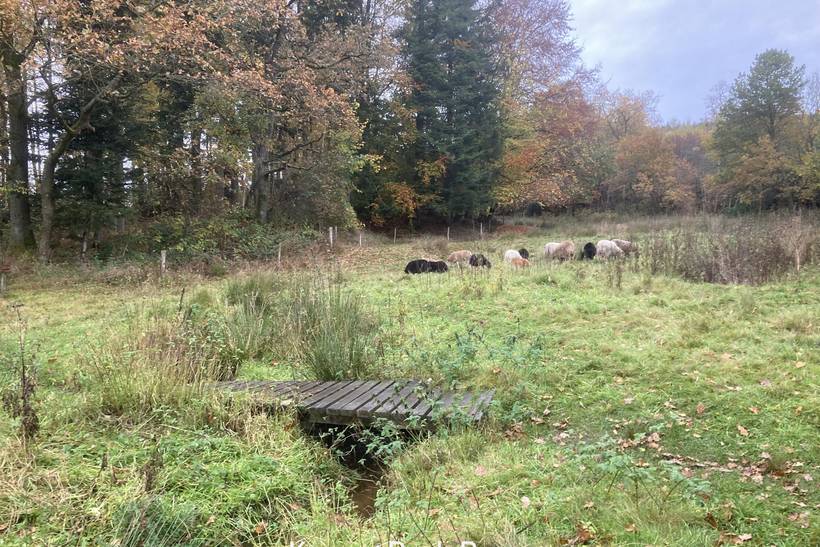 Foto von Ferienhaus BB37 in Bryrup - Ostjütland