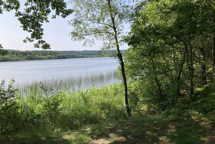 Foto von Ferienhaus BB37 in Bryrup - Ostjütland