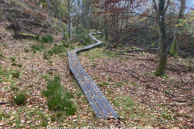 Foto von Ferienhaus BB37 in Bryrup - Ostjütland