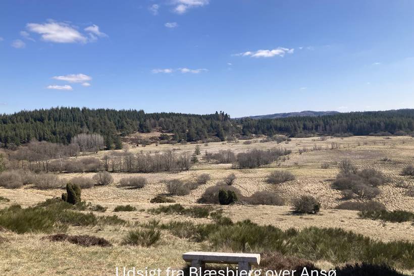 Foto von Ferienhaus BB37 in Bryrup - Ostjütland