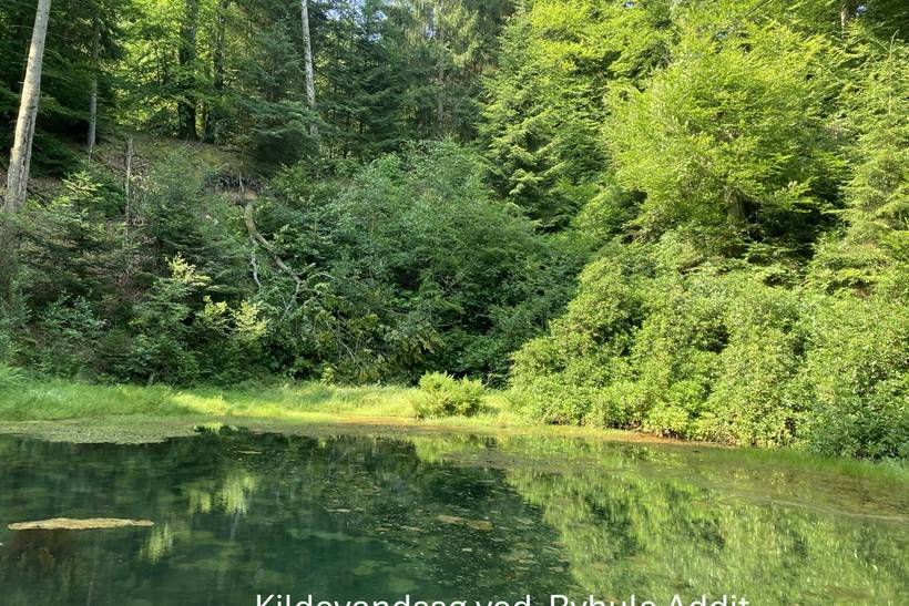 Foto von Ferienhaus BB37 in Bryrup - Ostjütland