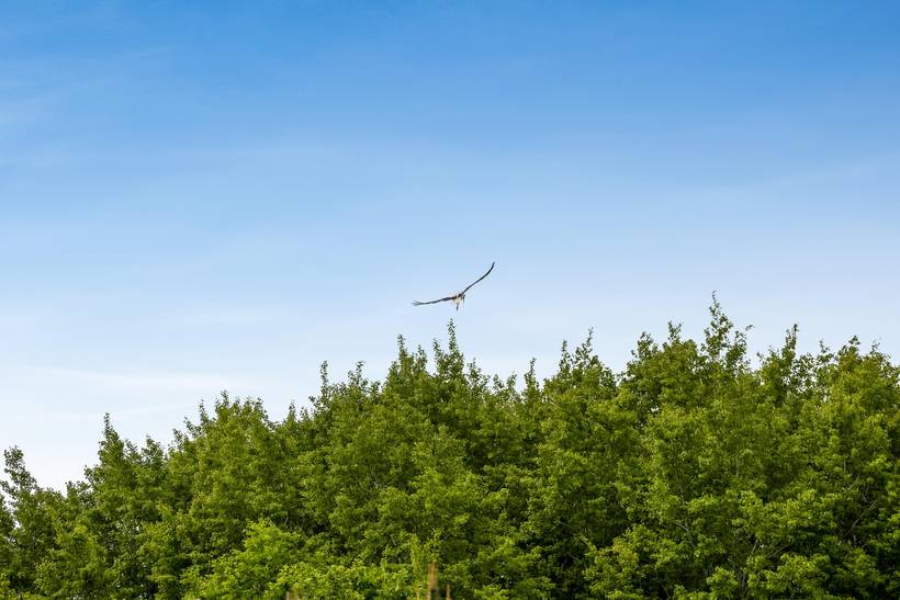 Foto von Ferienhaus BB91 in Arrild - Südjütland