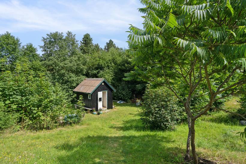 Foto von Ferienhaus BC32 in Helgenæs - Mols - Ostjütland