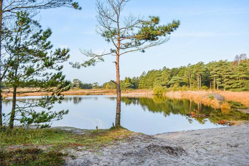 Foto von Ferienhaus BC54 in Kongsmark - Rømø