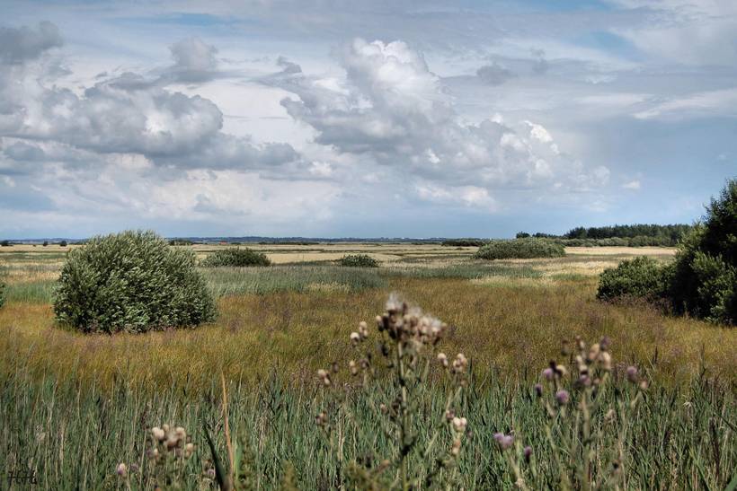 Foto von Ferienhaus BD01 auf Mors - Thy/Limfjord