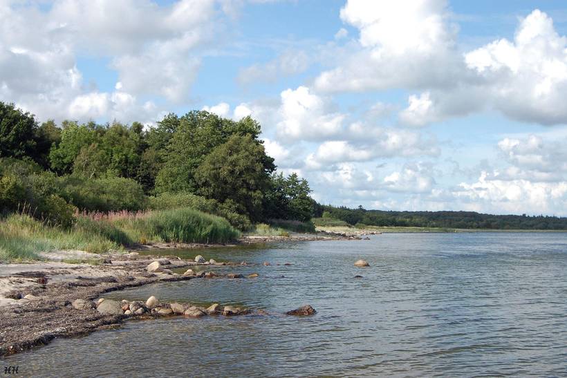 Foto von Ferienhaus BD01 auf Mors - Thy/Limfjord