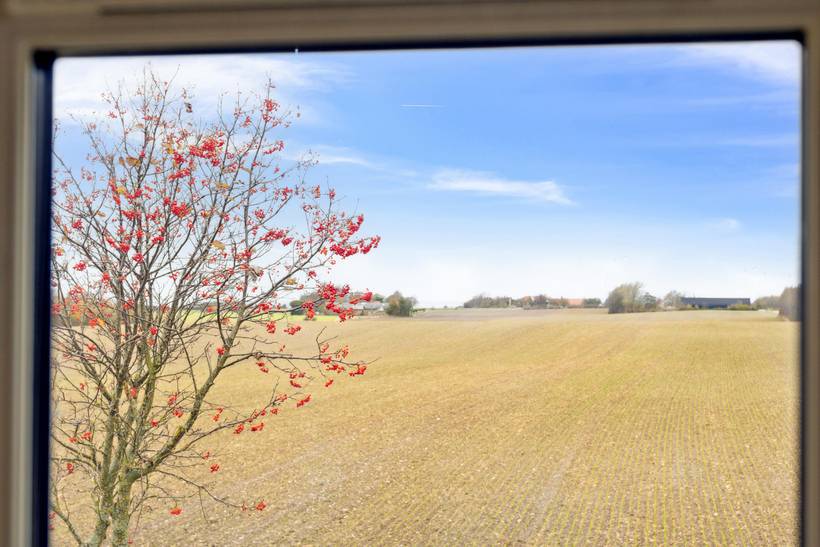 Foto von Ferienhaus BD28 auf Gedser - Falster