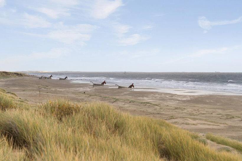 Foto von Ferienhaus BD65 in Blåvand - Westjütland