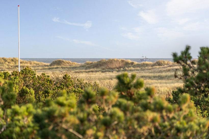 Foto von Ferienhaus BD65 in Blåvand - Westjütland