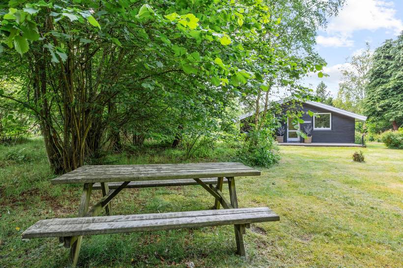 Foto von Ferienhaus BD81 in Ho - Blåvand - Westjütland