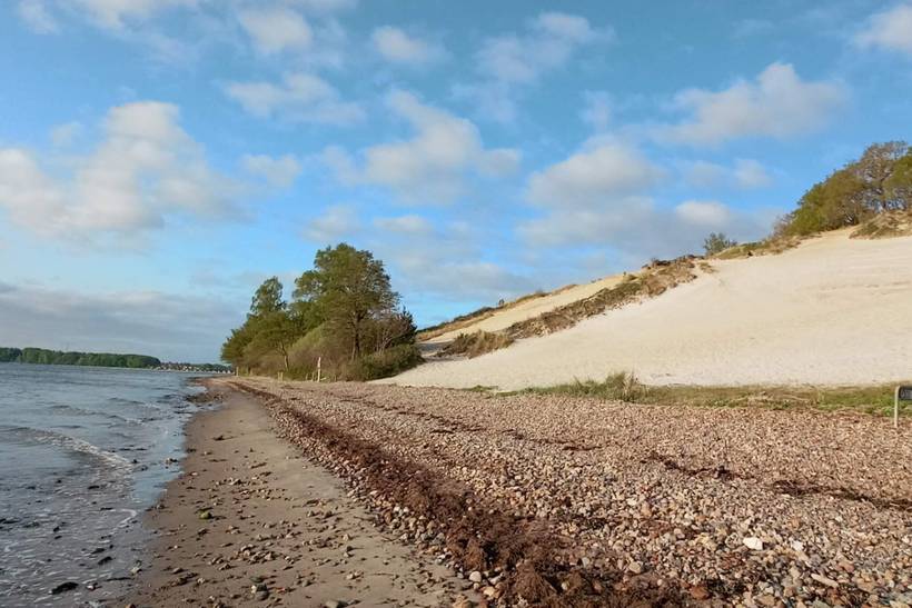 Foto von Ferienhaus BF41 in Høll - Hvidbjerg - Ostjütland