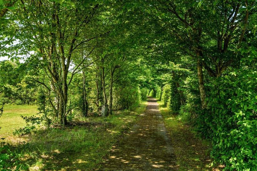 Foto von Ferienhaus BF92 in Hampen - Ostjütland