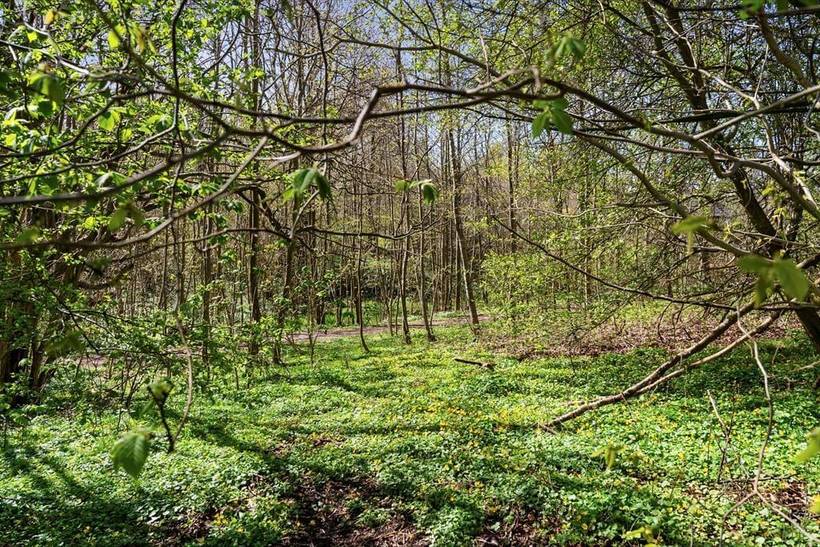 Foto von Ferienhaus BF95 in Pøt Strandby - Juelsminde - Ostjütland