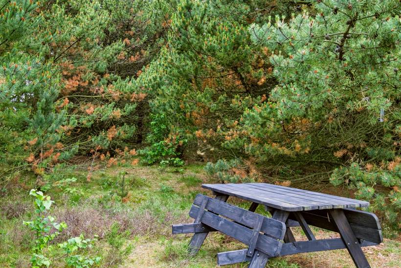 Foto von Ferienhaus BG05 in Sønderstrand - Rømø