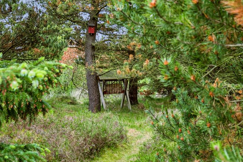 Foto von Ferienhaus BG05 in Sønderstrand - Rømø