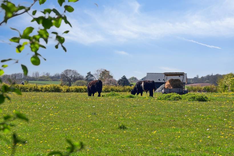 Foto von Ferienhaus BG14 in Tårup - Südfünen