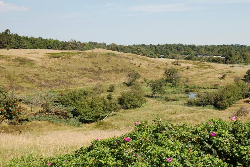 Foto von Ferienhaus BG84 in Vejby - Tisvildeleje - Nordseeland