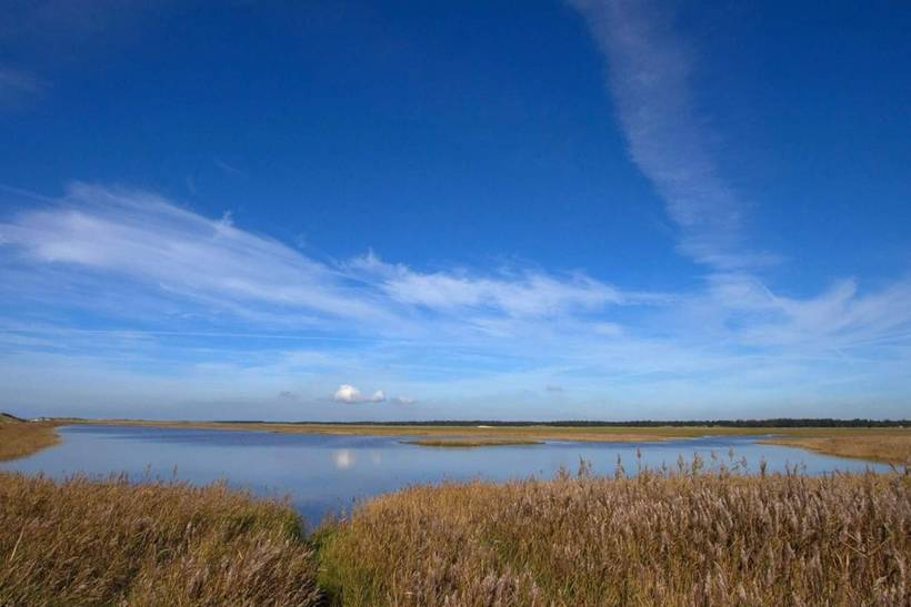 Foto von Ferienhaus BH38 in Blåvand - Westjütland